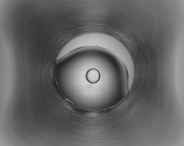 X0000111420325200907271148