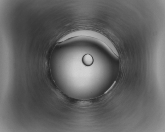 X0000111420327200907271148