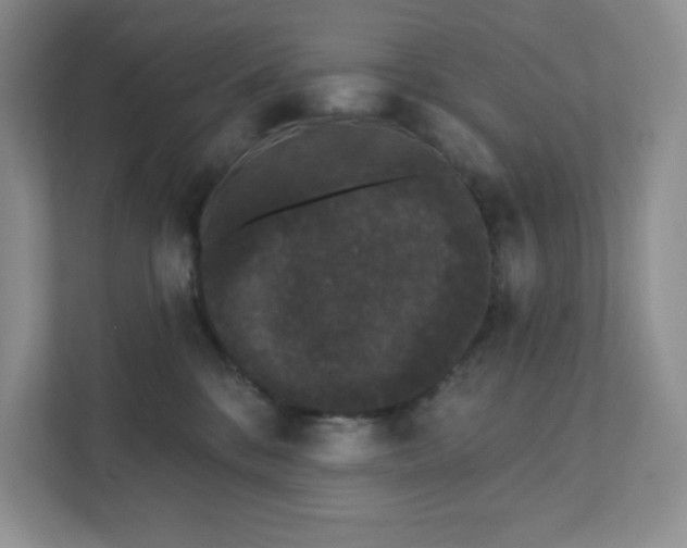 X0000111420328200907271148