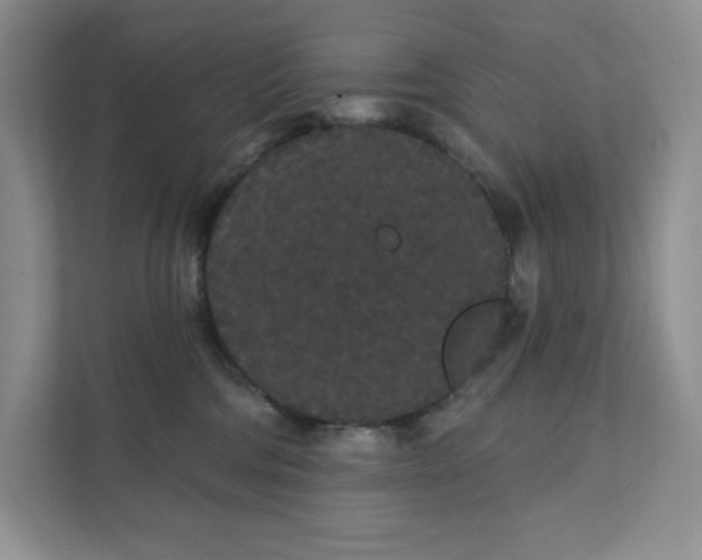 X0000111420330200907271148