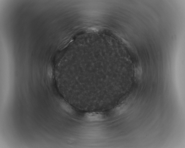 X0000111420331200907271148