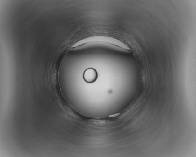 X0000111420332200907271148