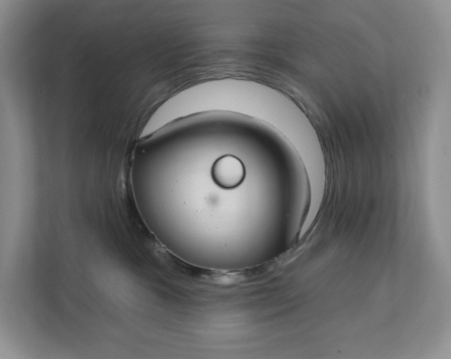 X0000111420333200907271148