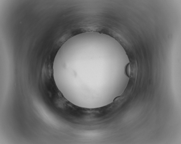 X0000111420334200907271148