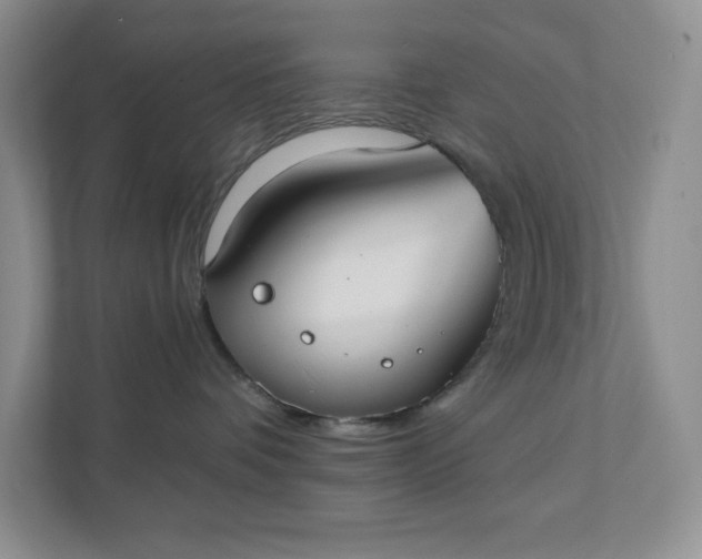 X0000111420336200907271148