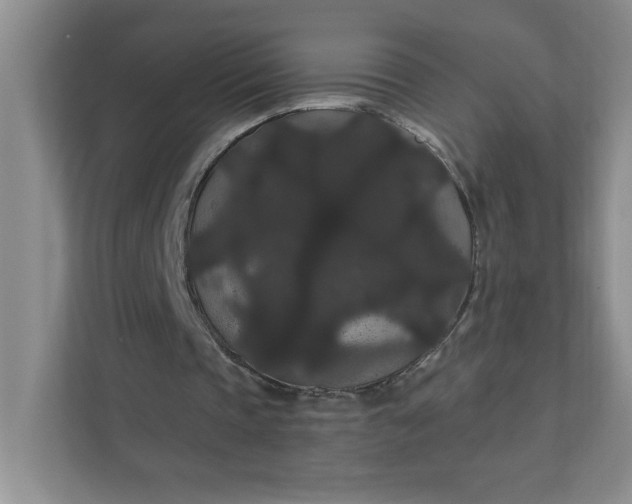 X0000111420337200907271147