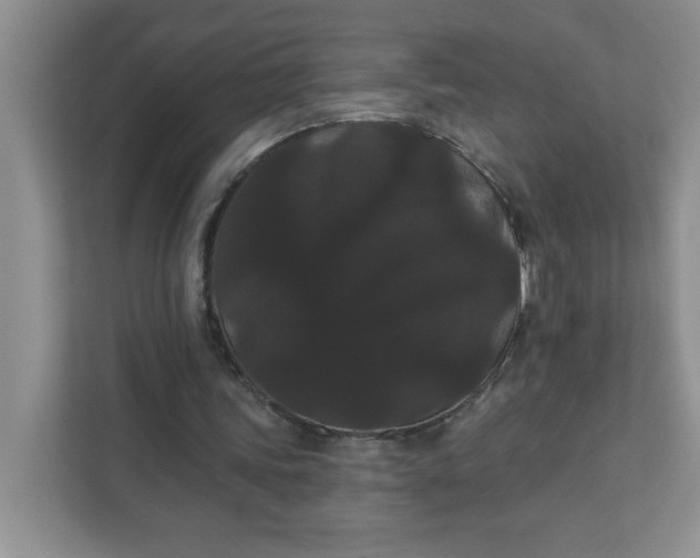 X0000111420339200907271147