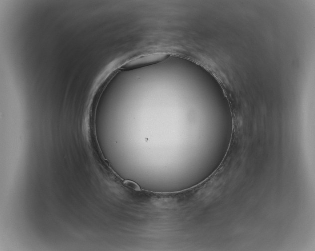 X0000111420340200907271147