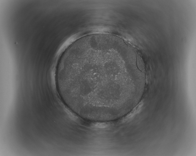 X0000111420341200907271147