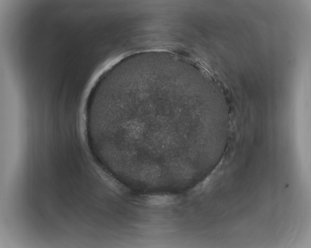 X0000111420342200907271148