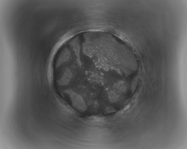 X0000111420343200907271148