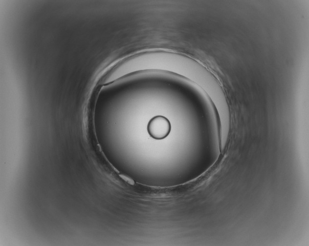 X0000111420344200907271148