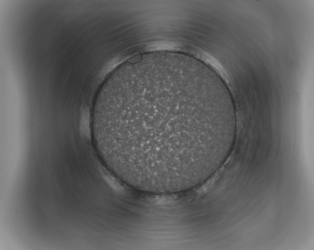 X0000111420345200907271148