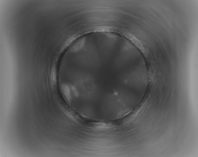 X0000111420347200907271148