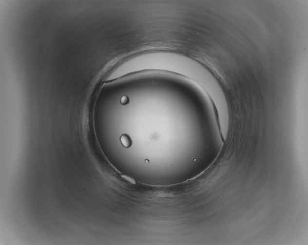 X0000111420348200907271148