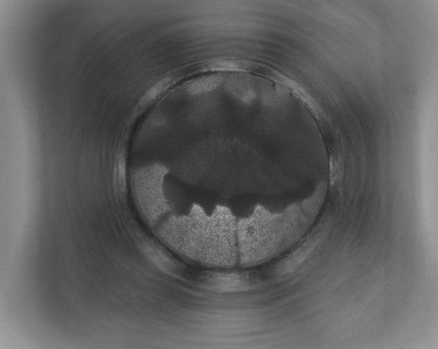 X0000111420349200907271148