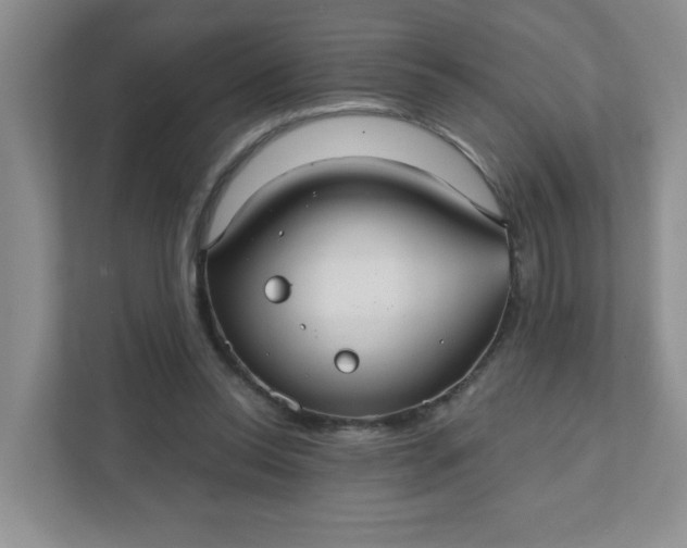 X0000111420350200907271148