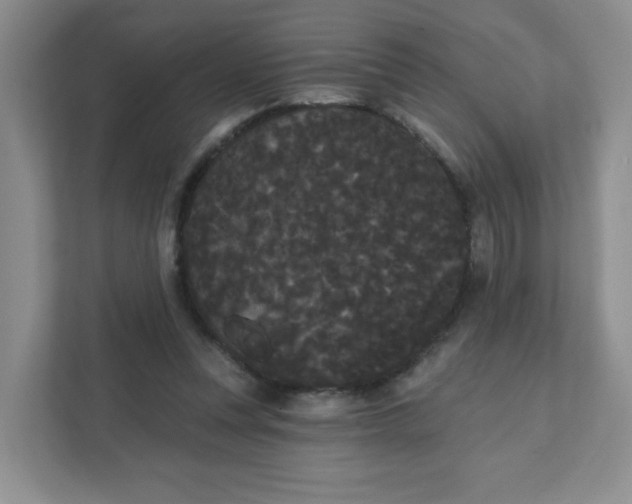 X0000111420351200907271148