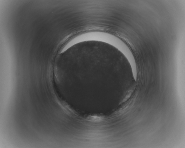 X0000111420352200907271148