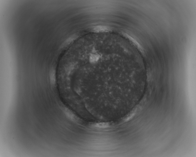 X0000111420353200907271148