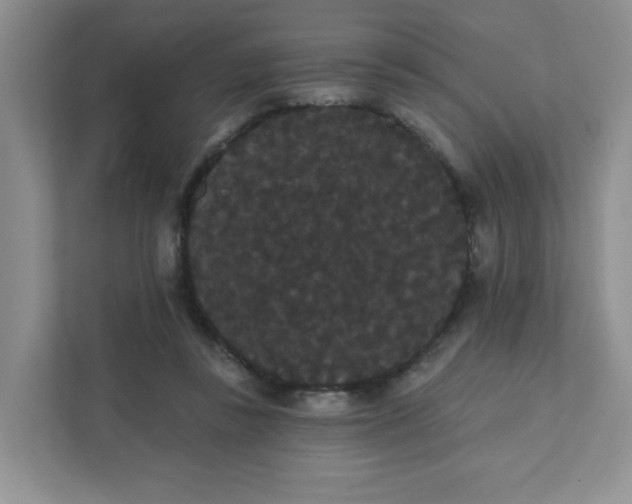 X0000111420355200907271148