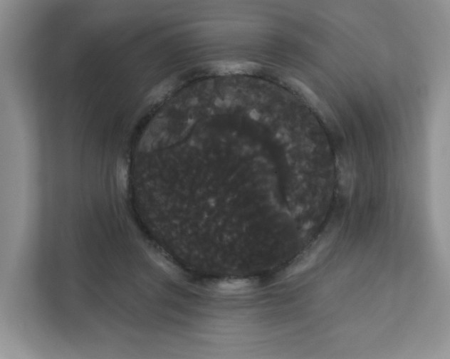 X0000111420357200907271148