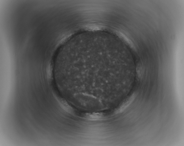 X0000111420359200907271148