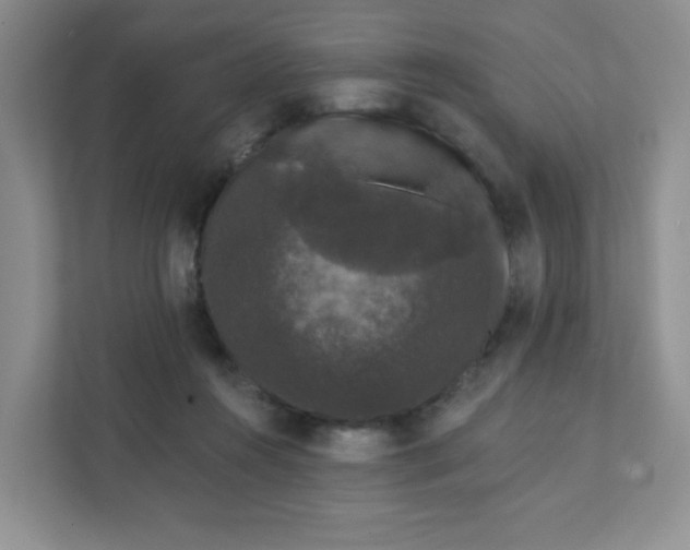 X0000111420360200907271148