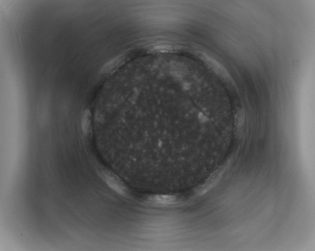 X0000111420361200907271148