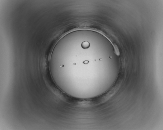 X0000111420362200907271148