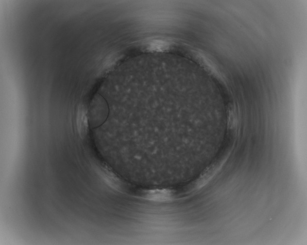 X0000111420363200907271148