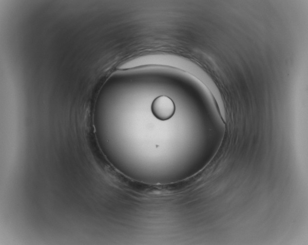 X0000111420364200907271148