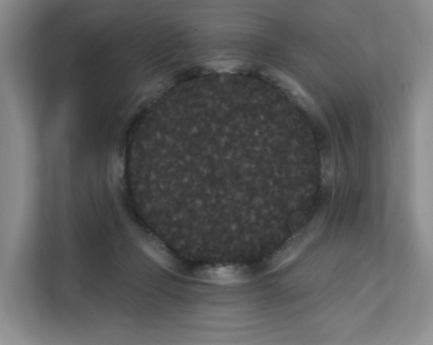 X0000111420365200907271148