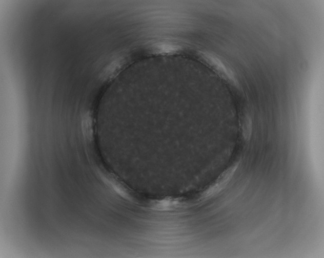 X0000111420366200907271148