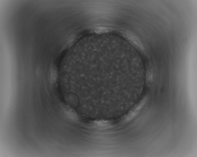 X0000111420367200907271148