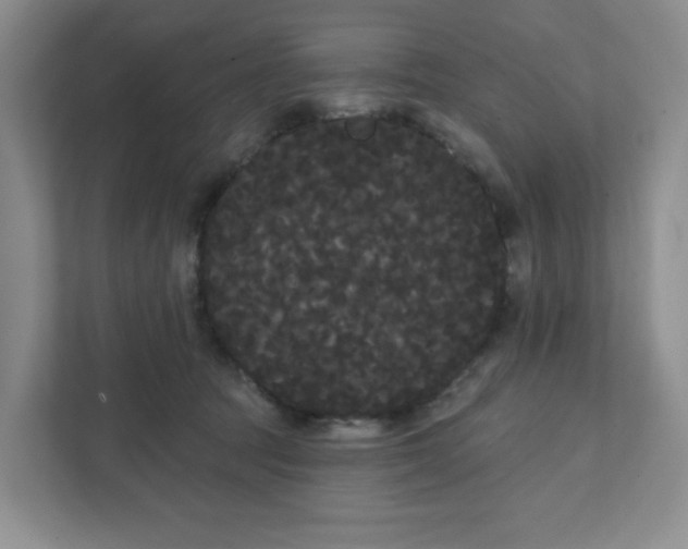 X0000111420369200907271148