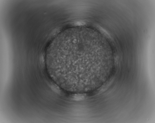 X0000111420373200907271148