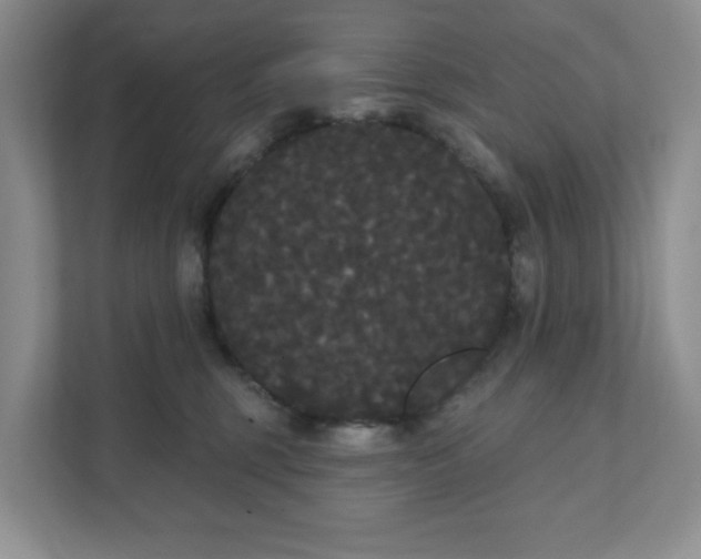 X0000111420375200907271148