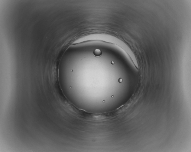 X0000111420376200907271148