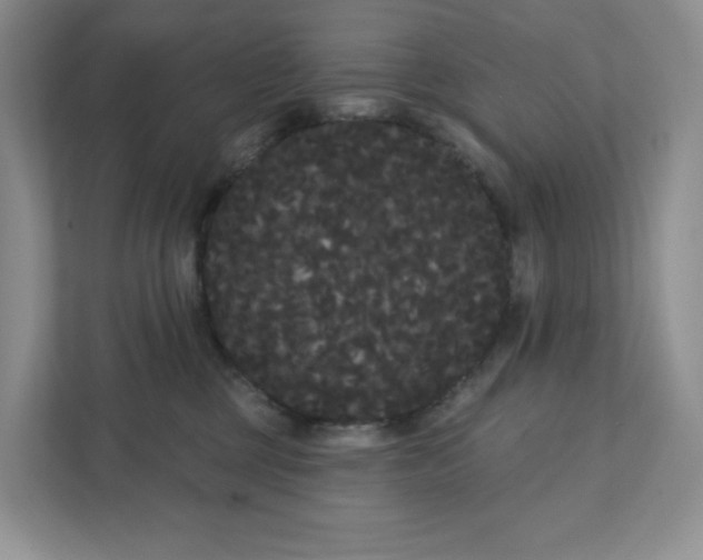 X0000111420377200907271148