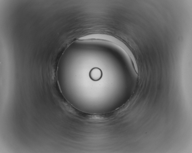 X0000111420380200907271148