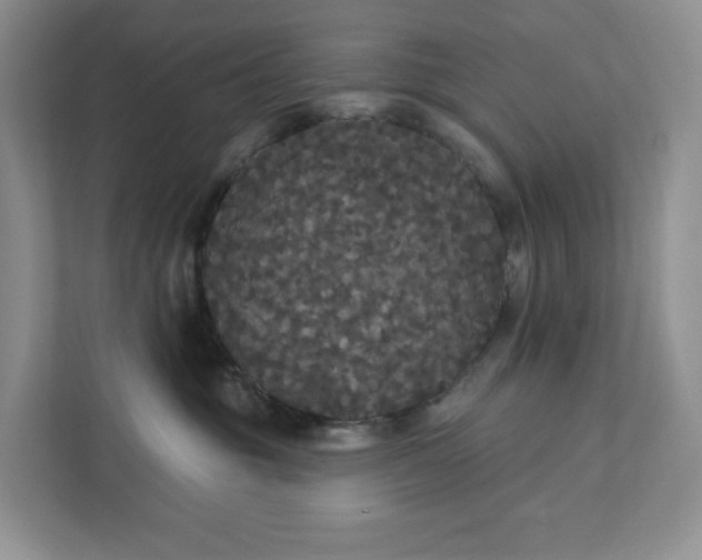 X0000111420381200907271148