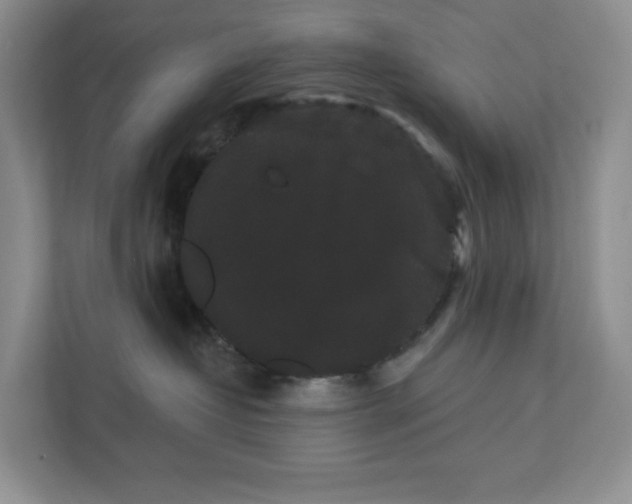 X0000111420382200907271148