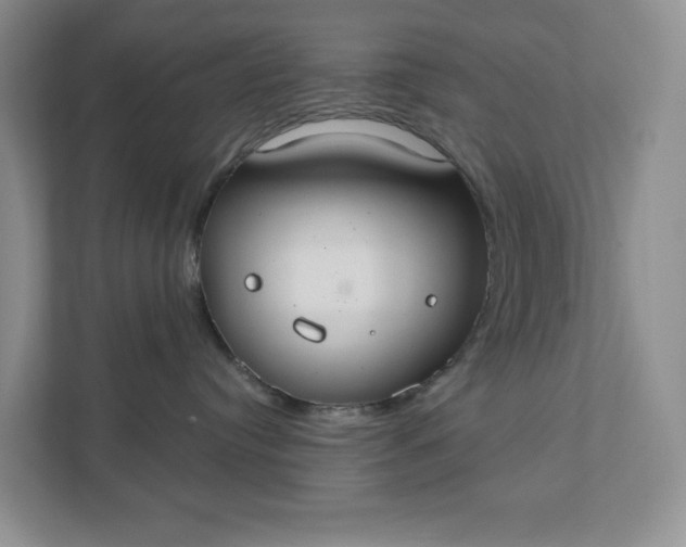 X0000111420384200907271148