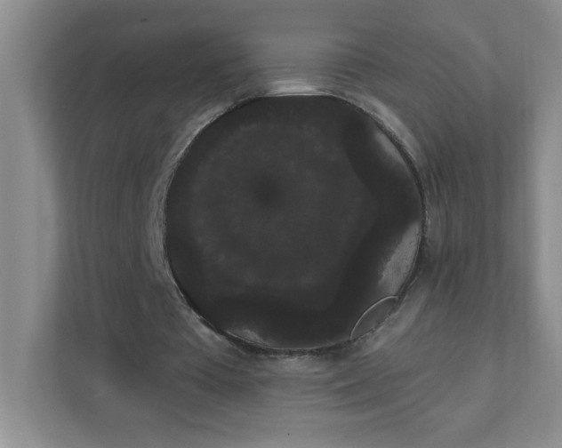 X0000111420385200907271147