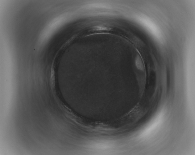 X0000111420387200907271147