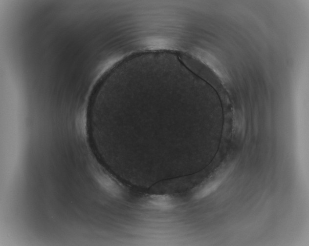 X0000111420391200907271147