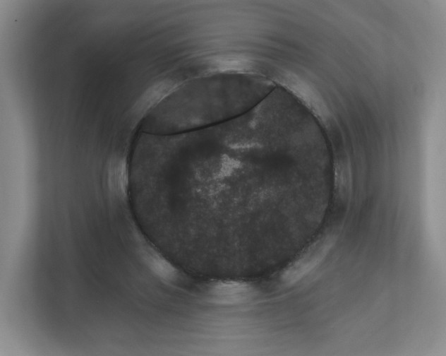 X0000111420397200907271147