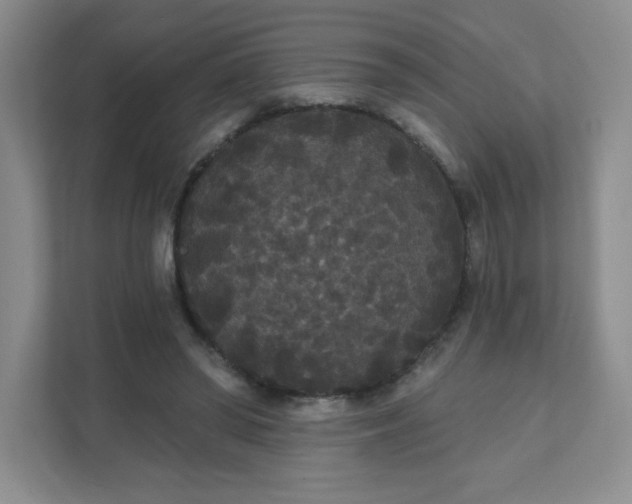 X0000111420398200907271147