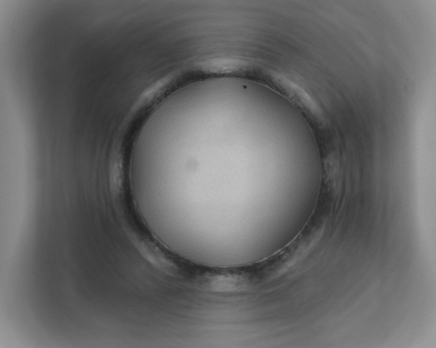 X0000111420400200907271147